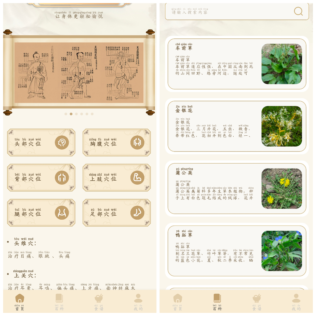 中医经络穴位典籍v1.1去广告版 中医爱好者必备-软件分享神仙论坛-软件-神仙论坛