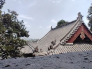 河南随手拍-神仙论坛