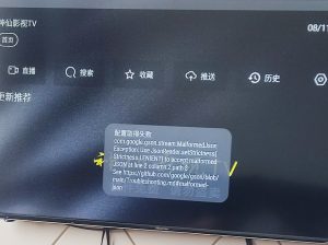 大佬们，电视装上4.0后出现这种问题怎么解决呀？-神仙论坛