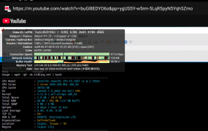 【安卓】【亲测】解锁youtube科学上网-神仙论坛