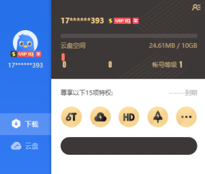 【PC】迅雷年费会员版-神仙论坛