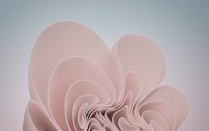 win11系统壁纸（上）-神仙论坛