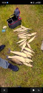 求一个破解版奥维地图，或者奥维地图2025资源包-神仙论坛