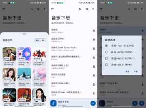 【音乐下崽】520 无损音乐免费下载-神仙论坛