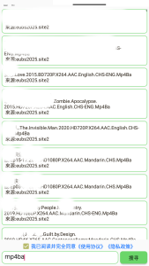 【2025地表最强磁力搜索】笨搜5.0.9 无广告 无限制-神仙论坛