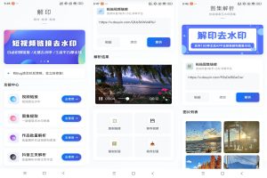 【解印去水印】1.1 短视频一键解析去水印 超好用-神仙论坛