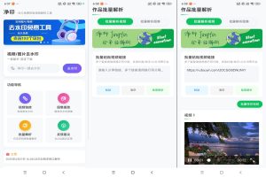 【净印】1.4 短视频一键去水印 操作简单-神仙论坛