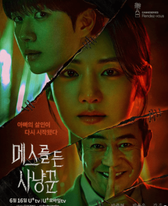 拿着手术刀的猎人 16集全 메스를 든 사냥꾼 (2025)-神仙论坛