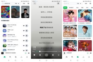 【阿尔Music】1.0  全网音乐免费听 免费下载-神仙论坛