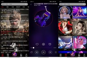 【DJ音乐盒】1.1.05 超多劲爆音乐随意听 解锁VIP-神仙论坛