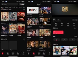 【4k影视】v1.1.3 国内外影视音综免费看-神仙论坛