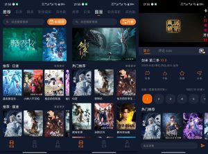 【囧次元】1.5.8.0 动漫追番app 解锁VIP-神仙论坛